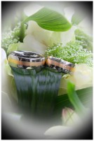 /album/gerda-sjak/ger-skeuze-8-jpg/